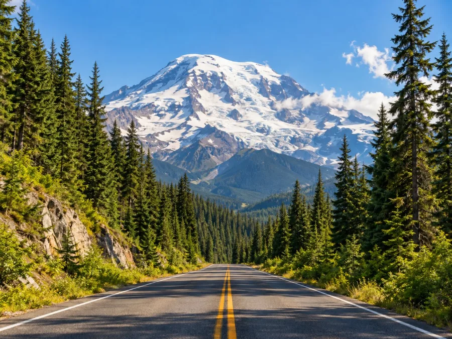 A two-lane road through tall evergreens with Mount Rainier ahead