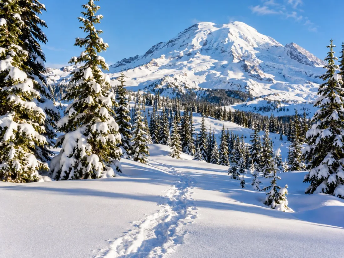 Snowshoe tracks across deep snow at Paradise in winter